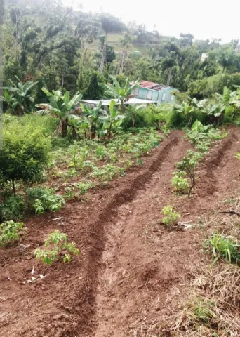 Agricultura Orgánica y Agroecológica en Latinoamérica